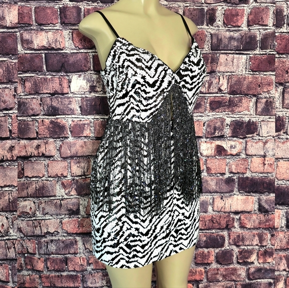 Wild Nights Zebra Sequin Fringe Dress - Picture 2 of 9